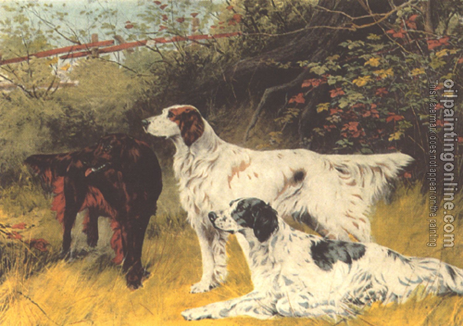 Blinks, Thomas - English Setters and Gordon Setters